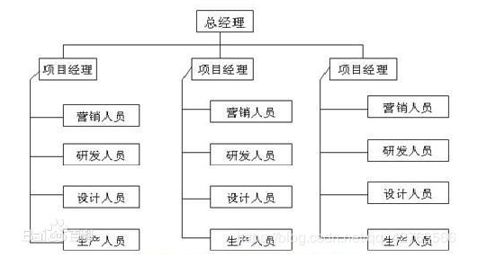 項目型組織結構