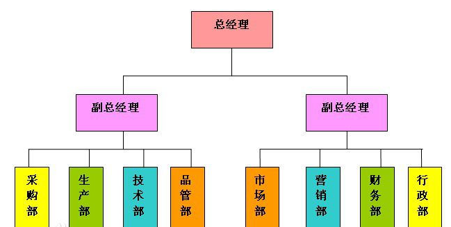 職能型組織結構